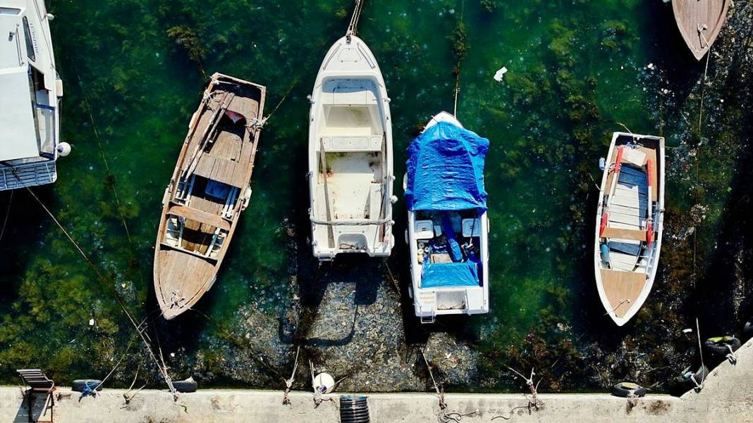 İstanbul'un o sahilinde yürüyüş yapanlar gözlerine inanamadı! Bitti denmişti, meğer yeniden başlıyormuş 13